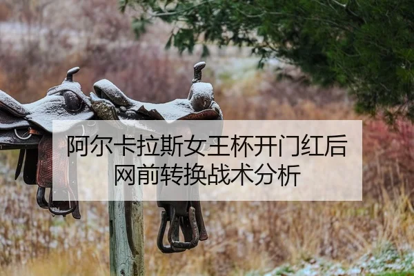 a-er-ka-la-si-nv-wang-bei-kai-men-hong-hou-wang-qian-zhuan-huan-zhan-shu-fen-xi-2-685.jpg