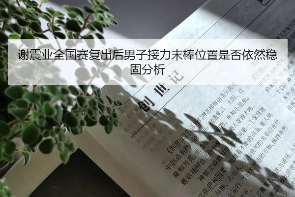 谢震业全国赛复出后男子接力末棒位置是否依然稳固分析