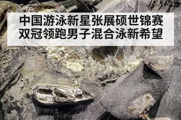 中国游泳新星张展硕世锦赛双冠领跑男子混合泳新希望